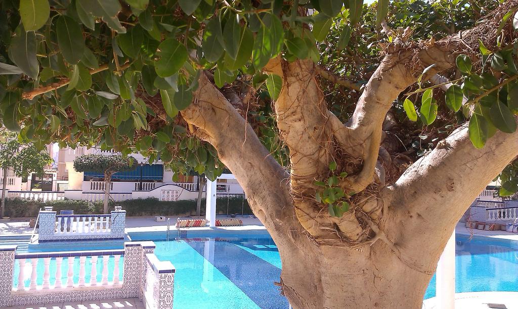Apartamento La Mata Vinamar Exterior foto